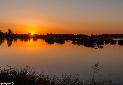 Lever de soleil sur l'étang des Essarts