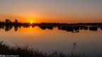 Lever de soleil sur l'étang des Essarts
