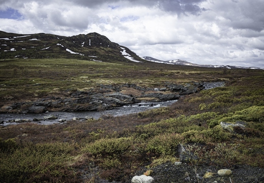 Dovrefjell