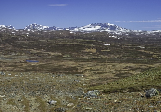 Dovrefjell