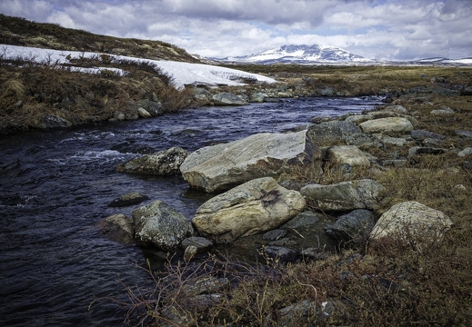 Le Snohetta à Dovrefjell