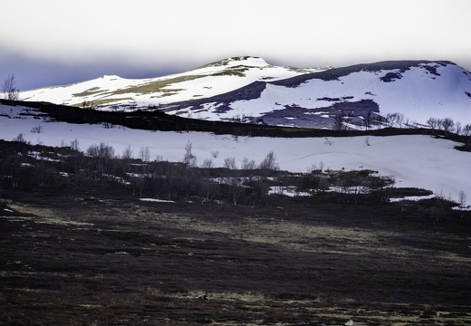 Dovrefjell
